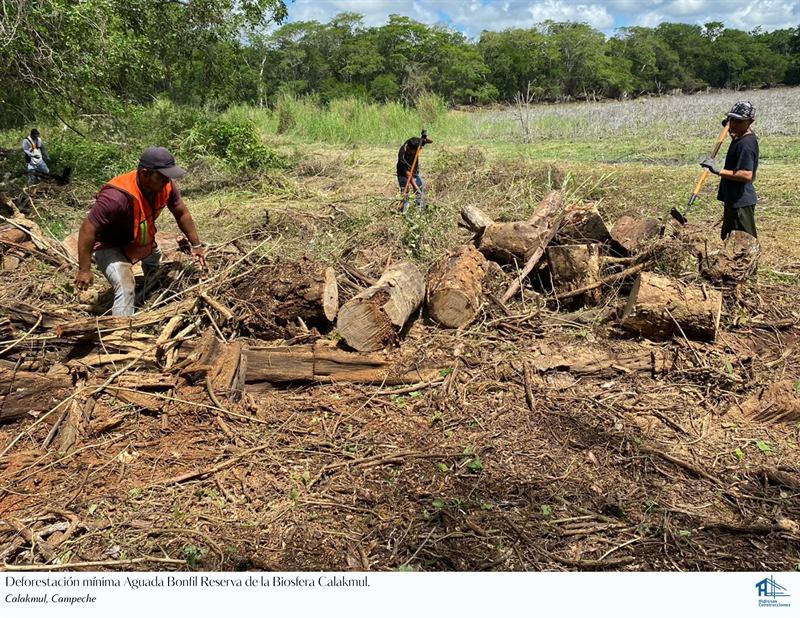 Deforestación mínima Aguada Bonfil, Reserva de la Biosfera Calakmul — Calakmul, Campeche